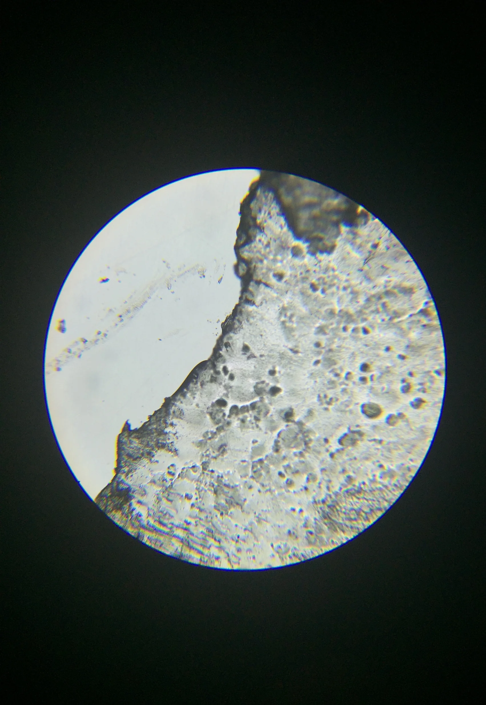 2016-02-05 14.53.22.jpg