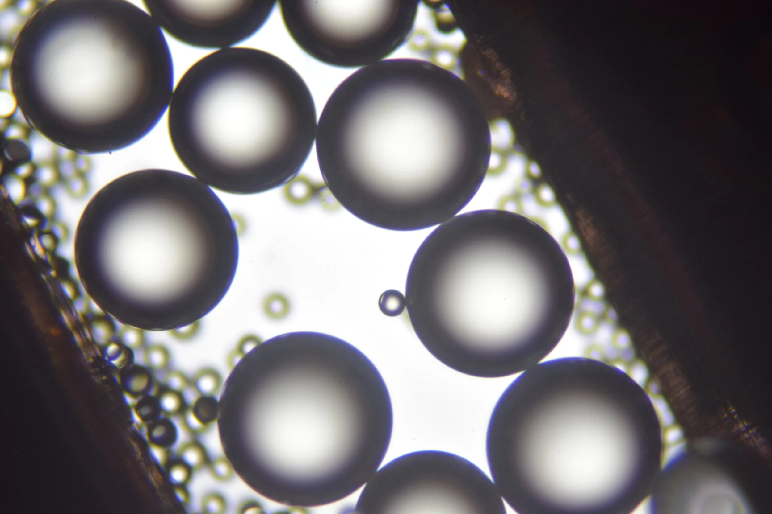  The control of living systems as part of design interfaces is of interest to both the scientific and design communities due to the ability of living organisms to sense and respond to their environments. They may, for example, detect and break down h