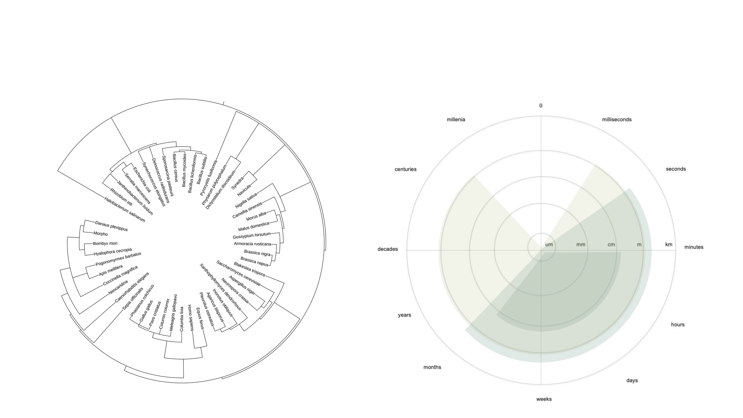 How does one reconcile the complex uncertainties of living systems with the control required for real-world design? This is the central question facing the field of biological design and the creative intersection it occupies, seeking to move beyond