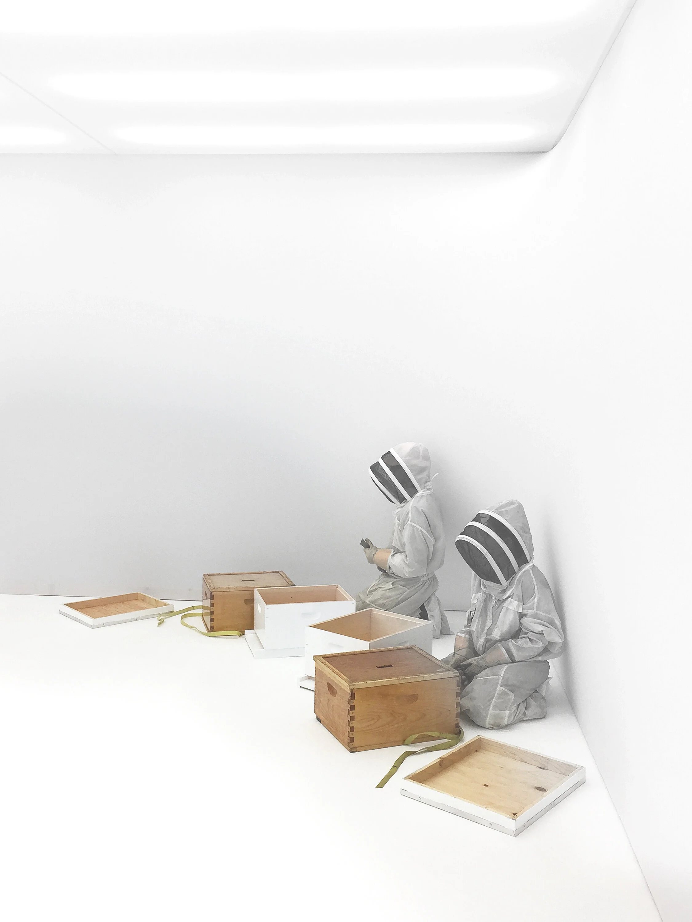  Credit: Markus Kayser 