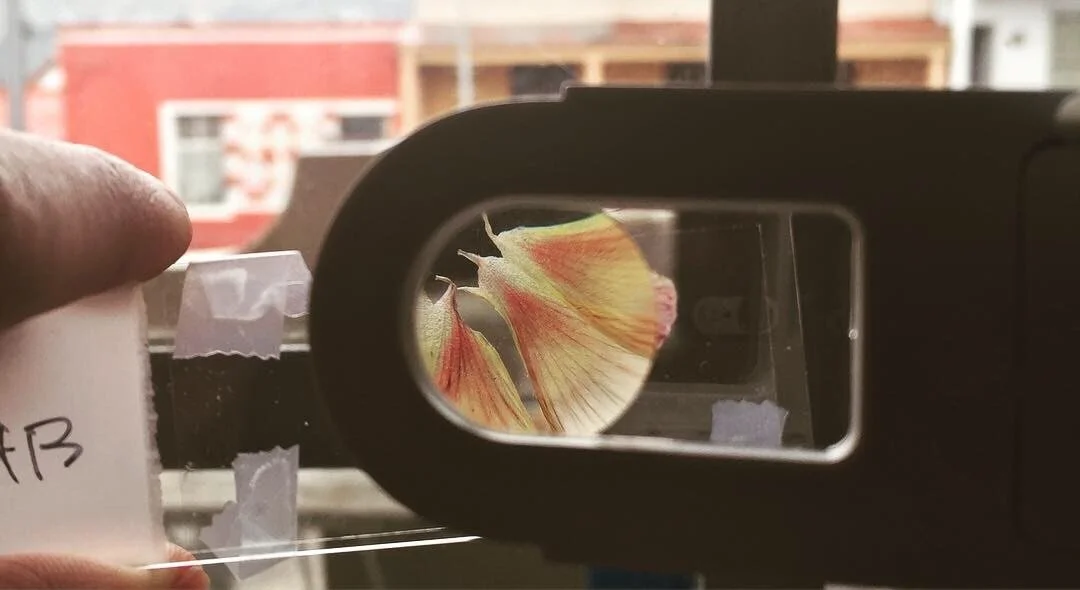  I focused particularly on low-cost, easy methods for analysis such as simple microscopy to better visualize pigments from floral samples and soil samples.  Credit: Sunanda Sharma  Image courtesy of The Mediated Matter Group     