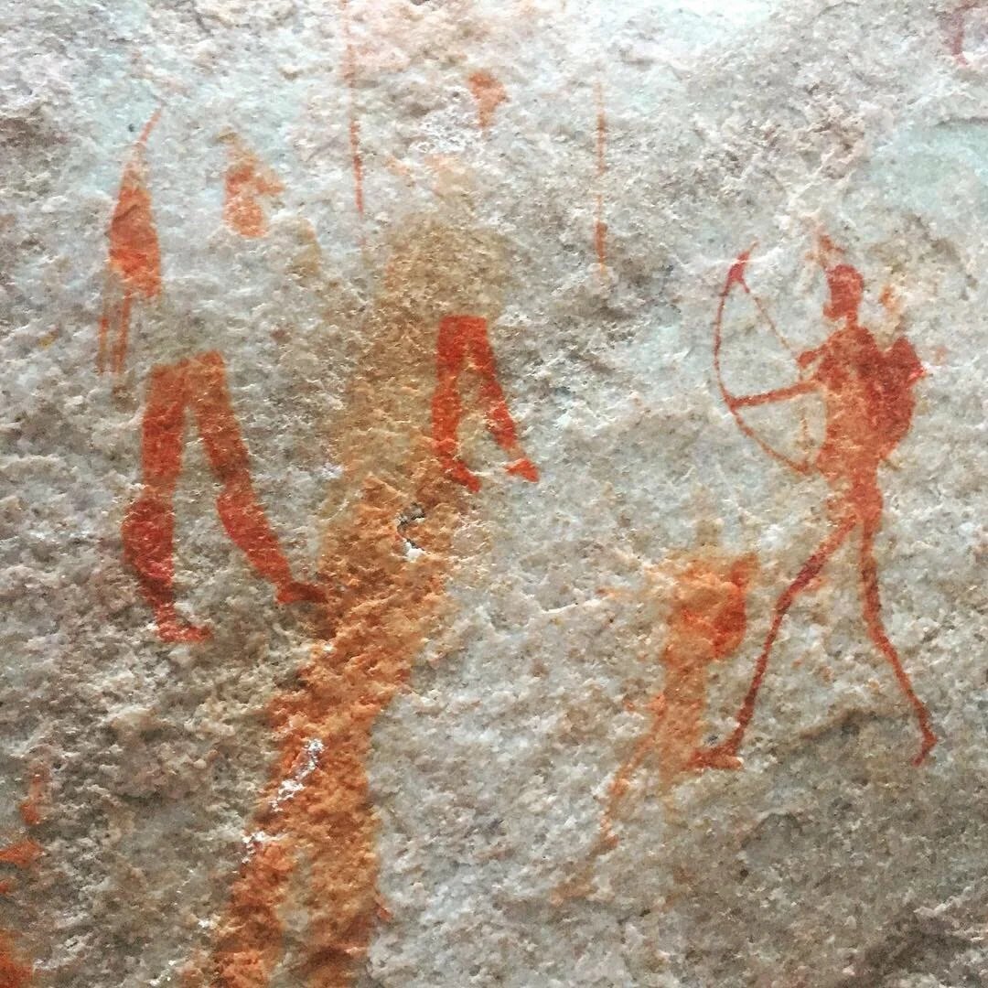  In addition to the biological research, we conducted significant cultural research to better understand the rich history of the peoples of the region. We traveled to Cederberg to view the Sevilla Rock Art Trail and the !Khwa ttu San Cultural Center 