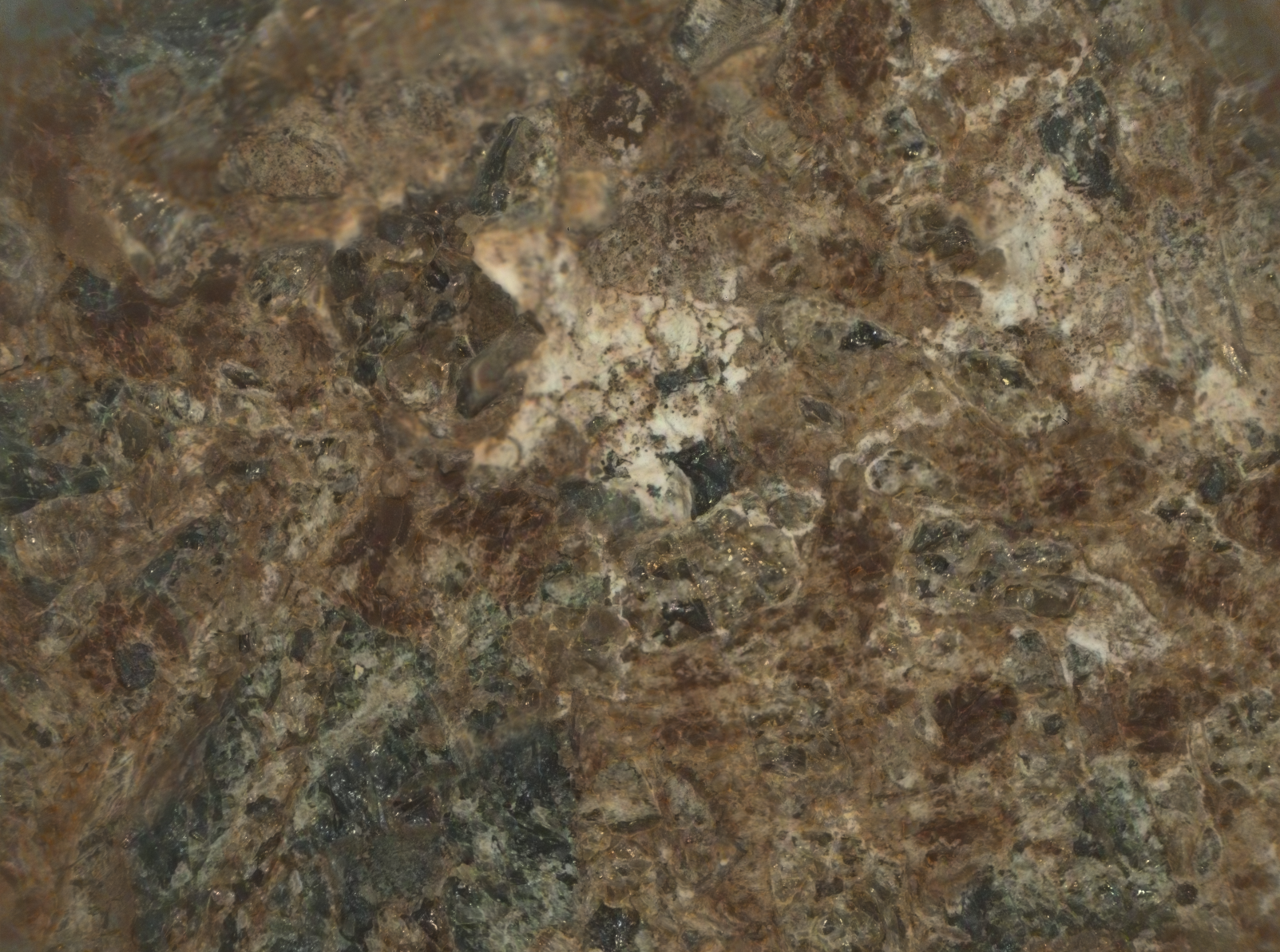 Mars Mission Science