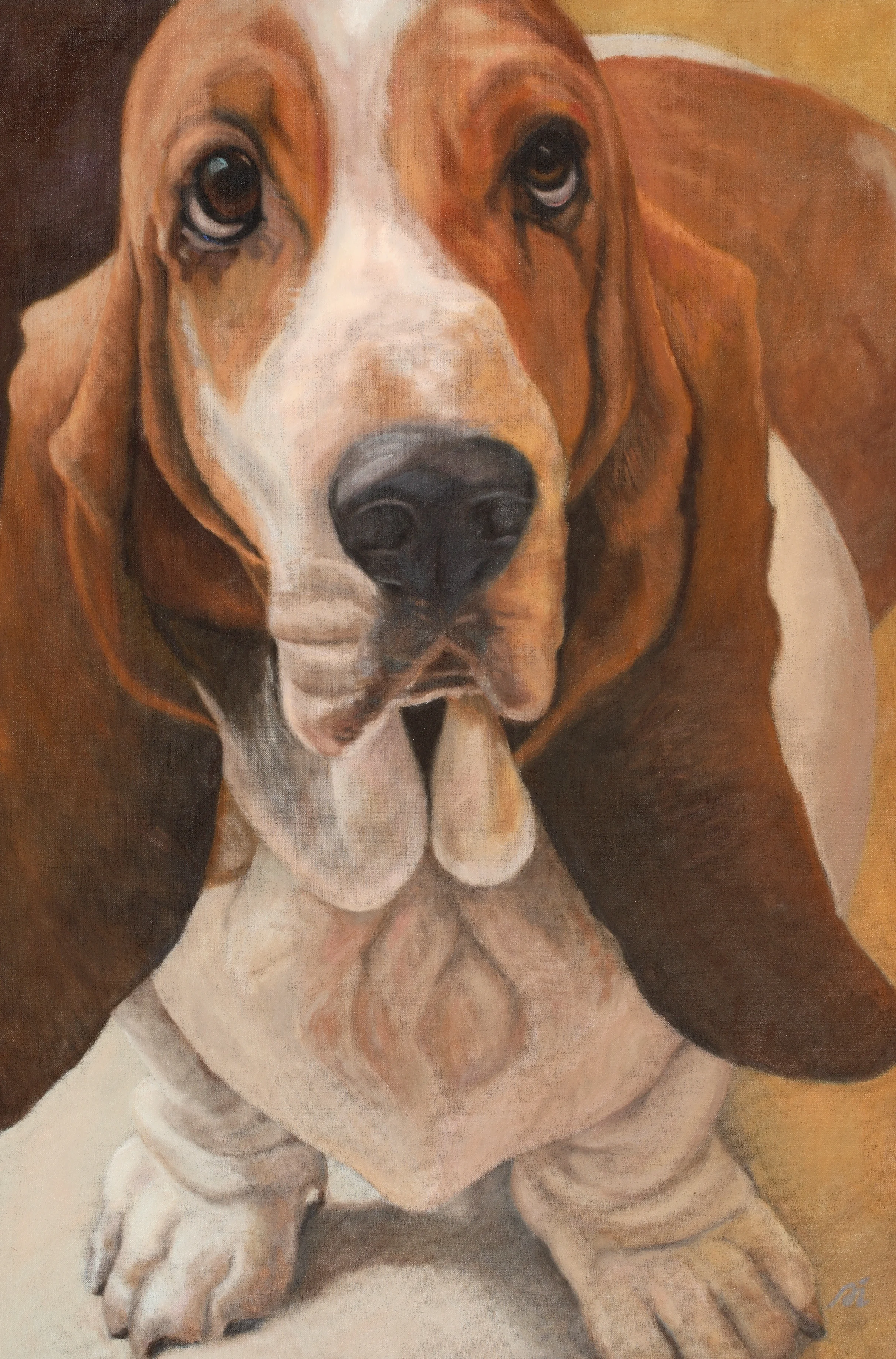 DIDDI 18X24