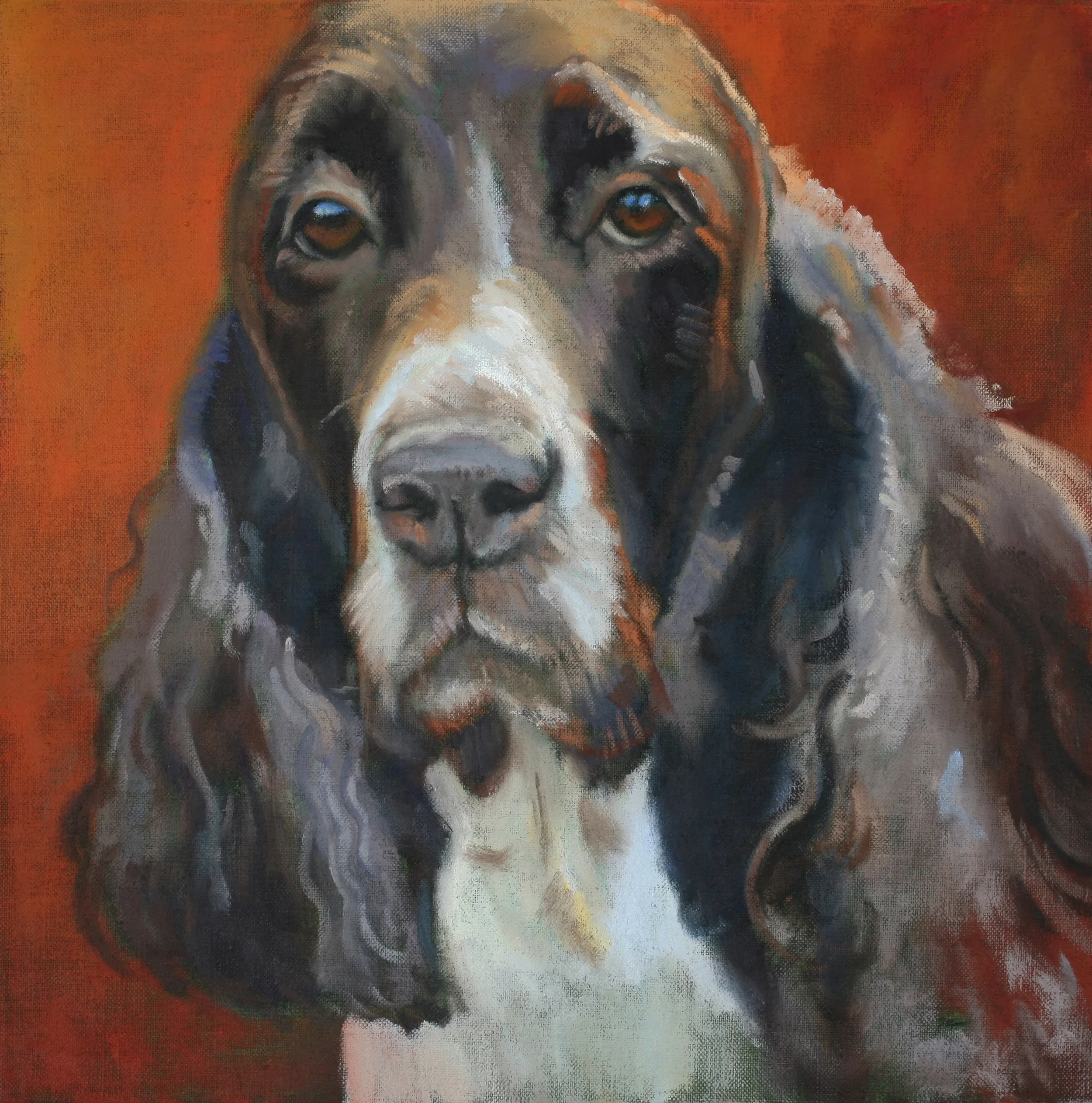 BUDDY II 13X13
