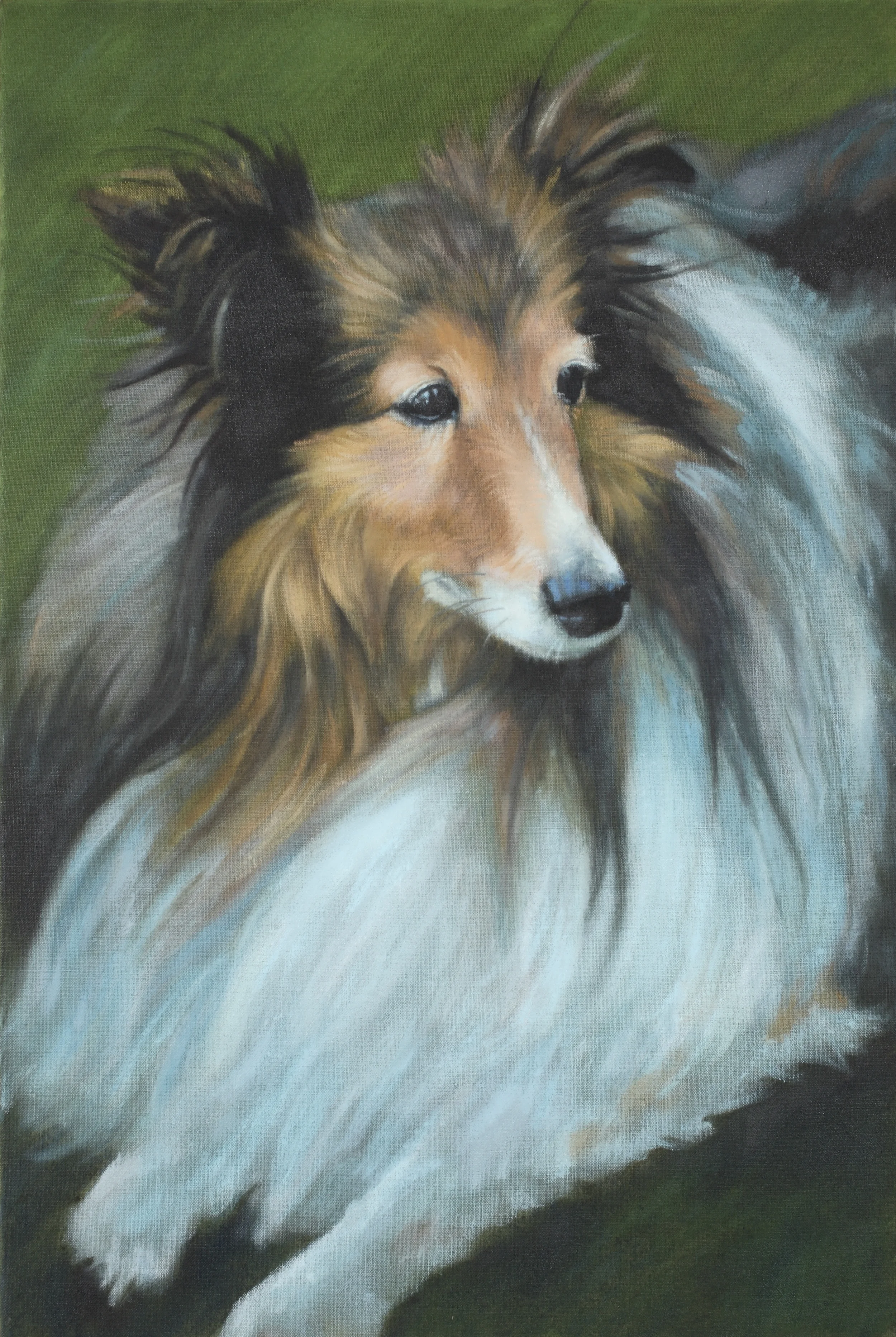 SHELBY 18X24