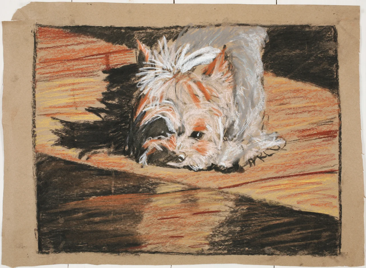 LOLA PASTEL STUDY