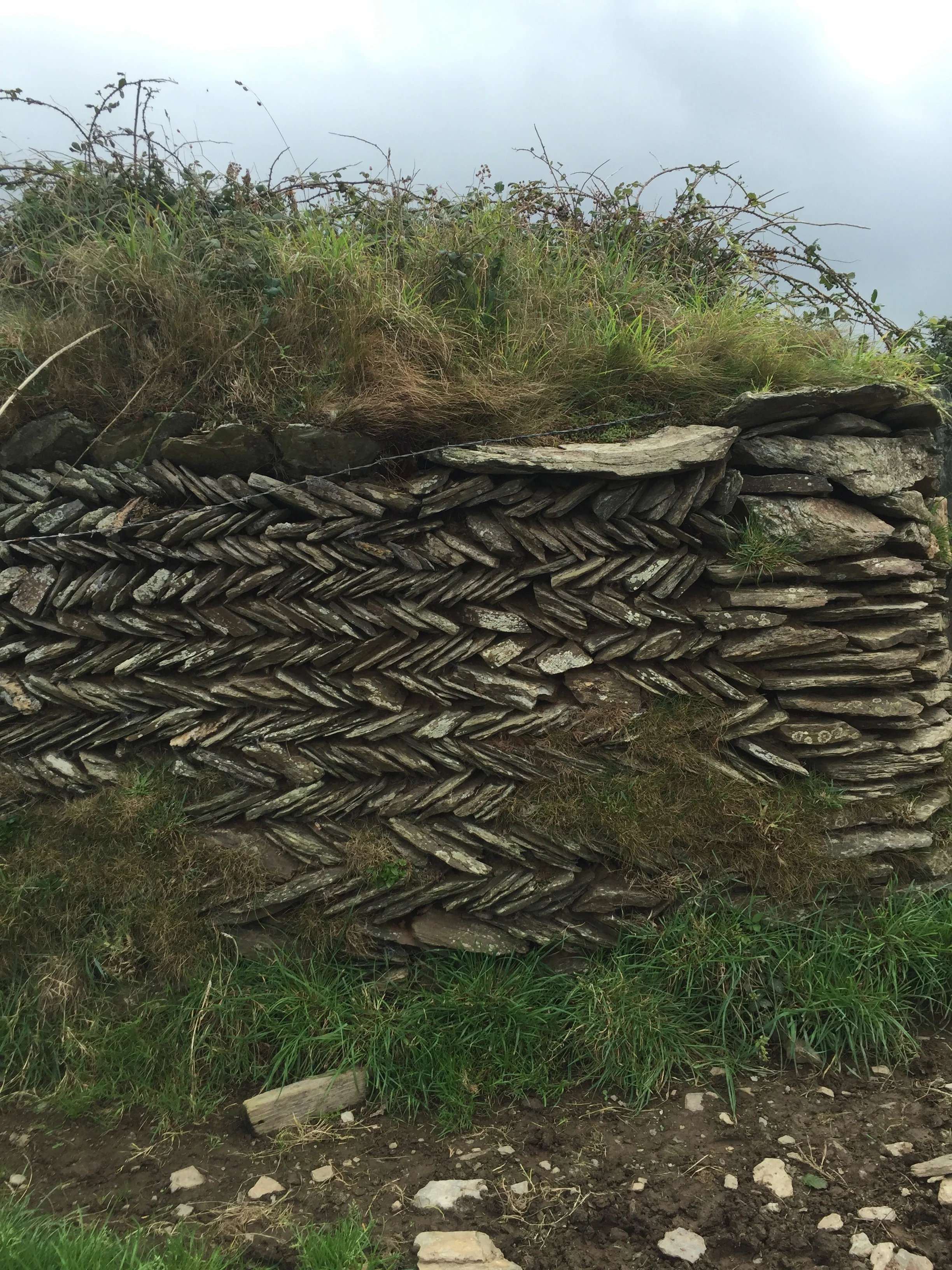 Bude stone walls