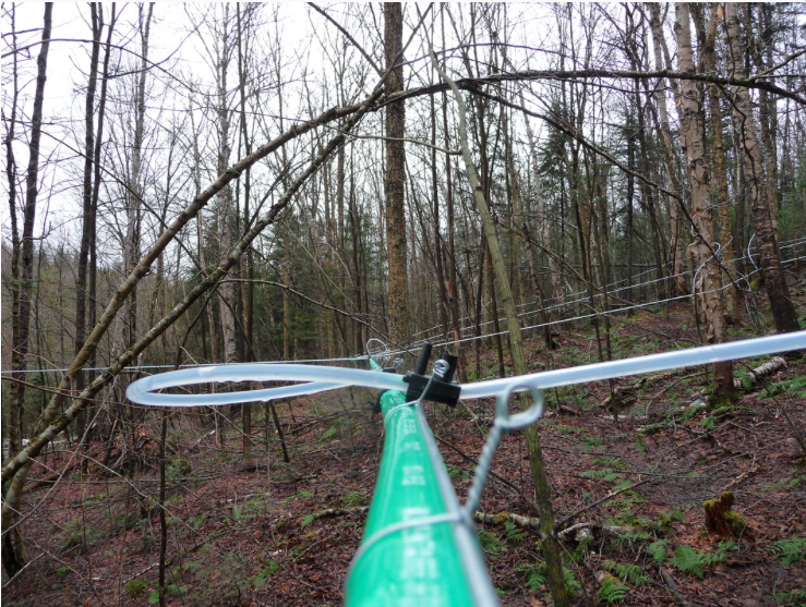 We use pipeline to collect the birch sap.