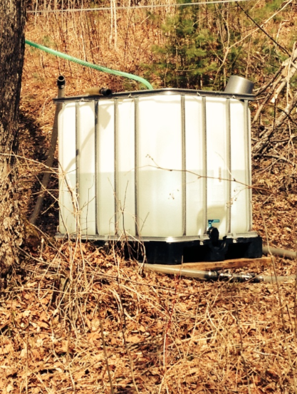 During the short birch season the sap runs around the clock.