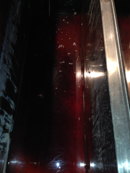 Sap almost done boiling in the front pan. It is very red in color.