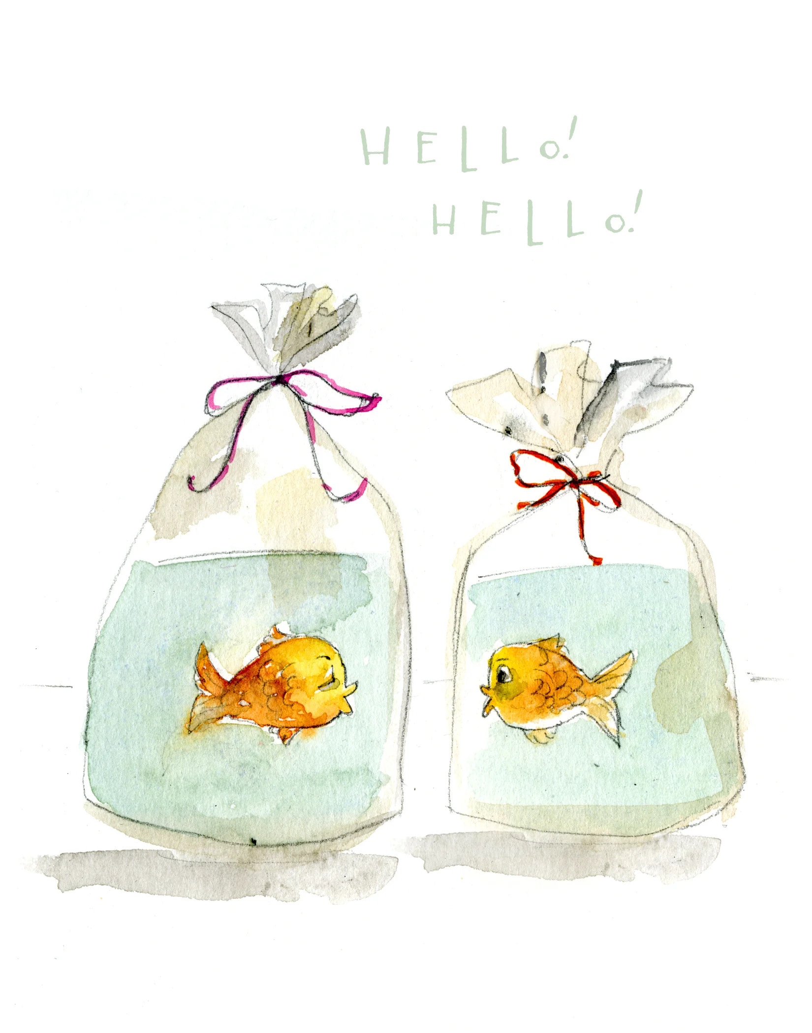hello fishy.jpg