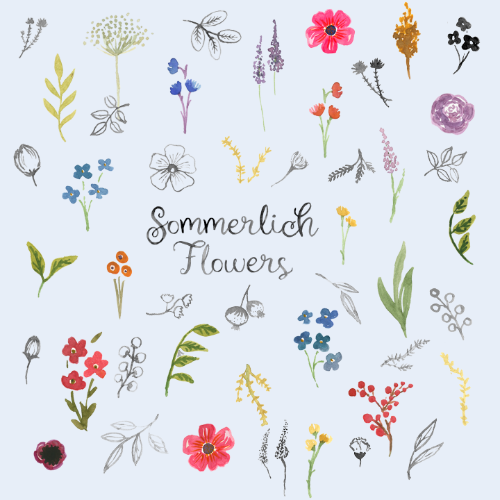 CK Sommerlich flowers2.png