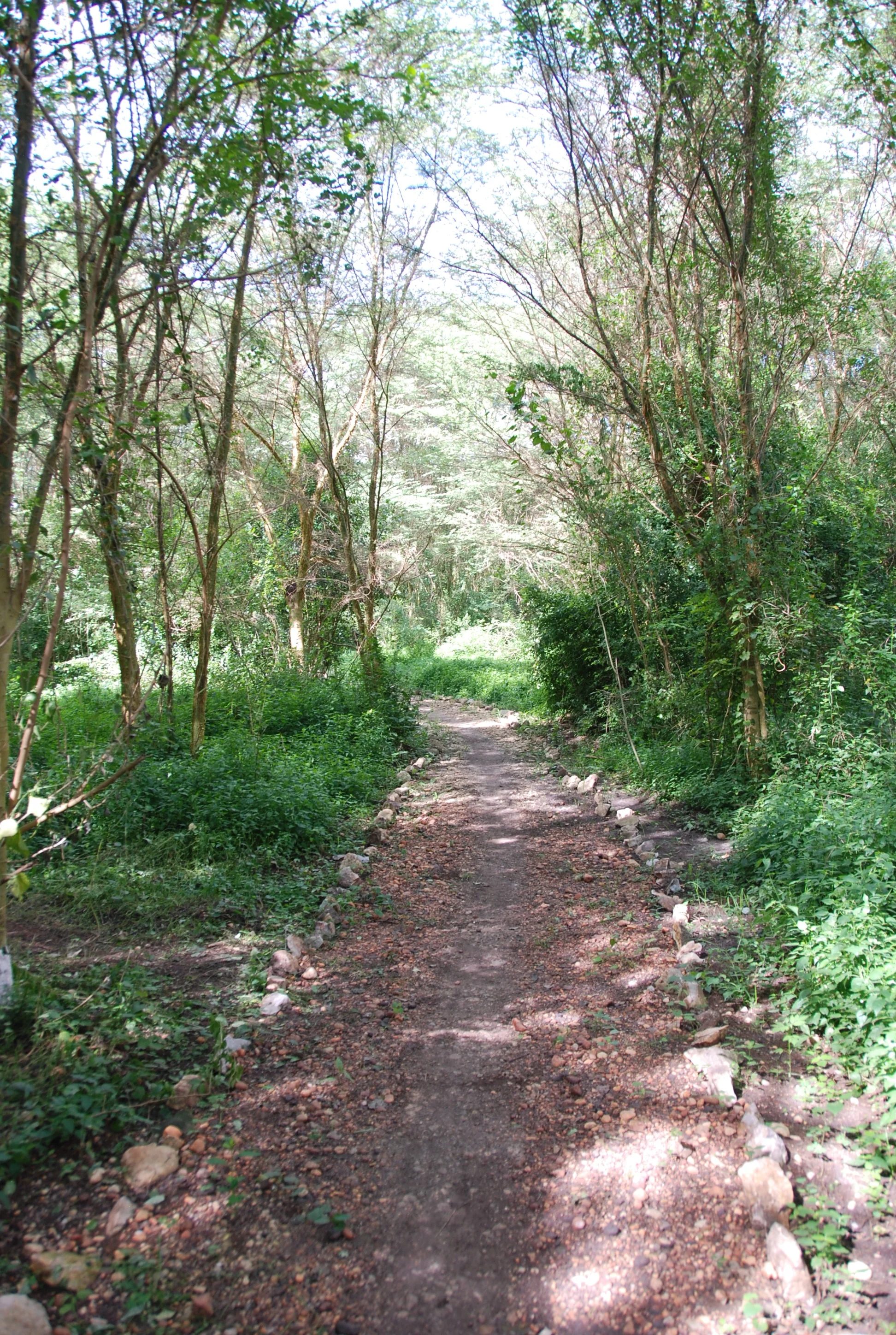 DSC_0806.jpg