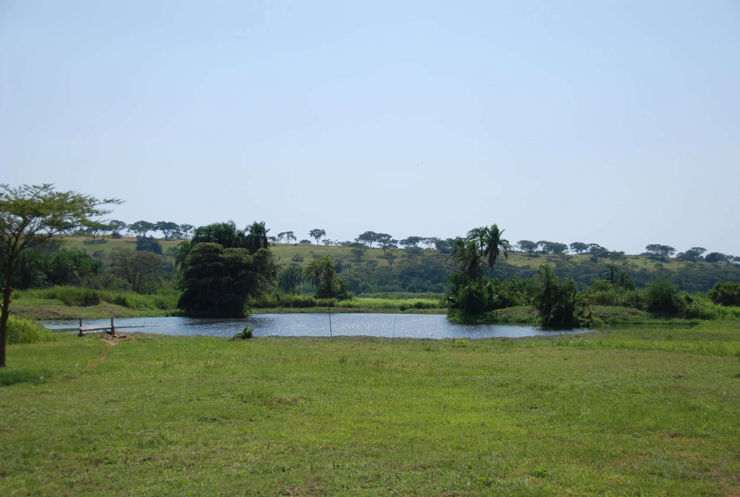 DSC_0623.jpg