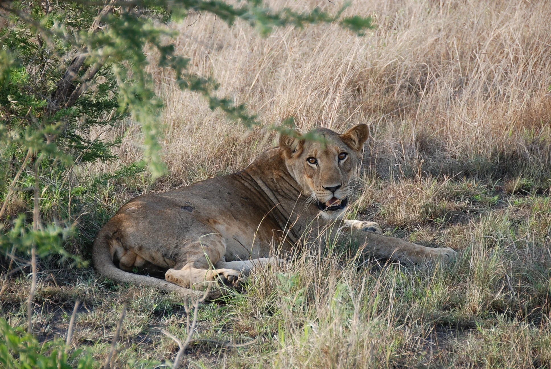 DSC_0050.jpg