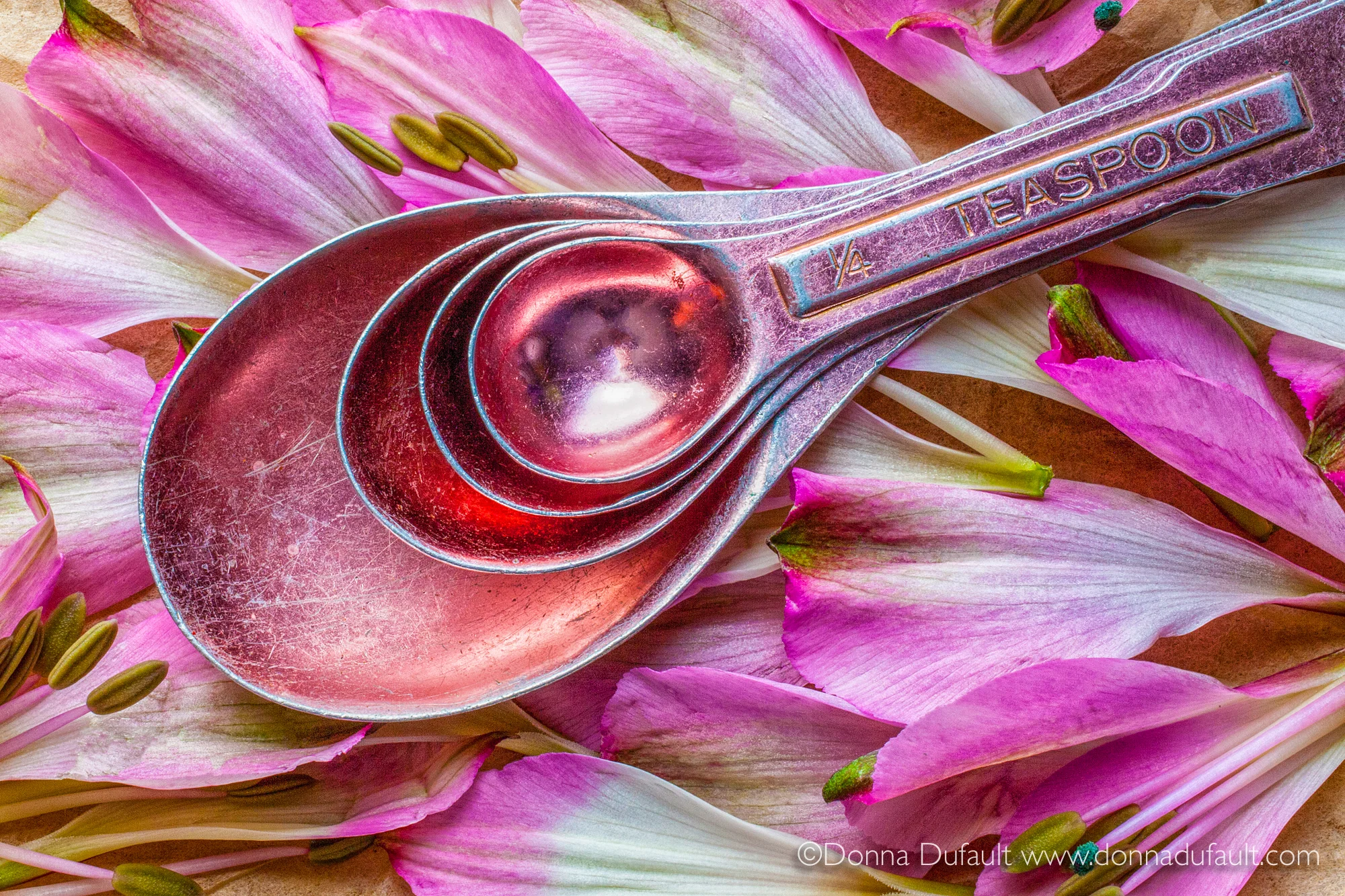 Still Lifes 040218-4707-DSF.jpg