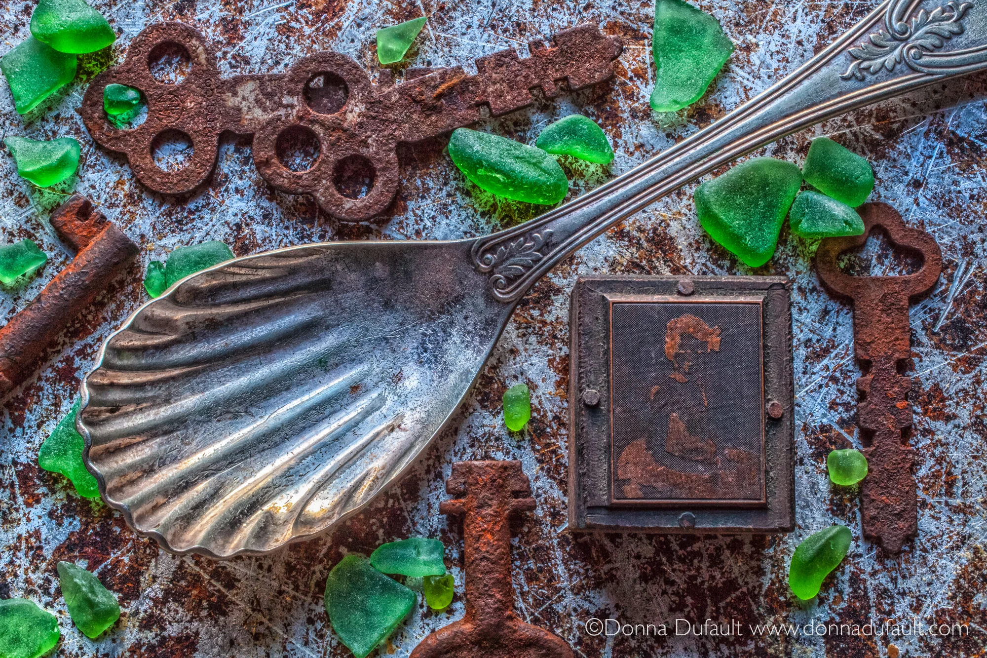 Still Lifes 013118-9796-Edit Fd.jpg
