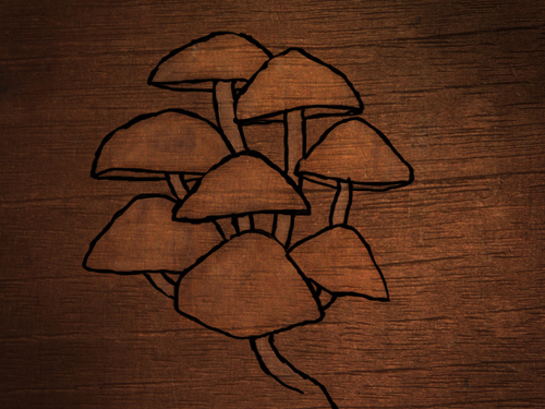 mushroom_tops_drawing.jpg