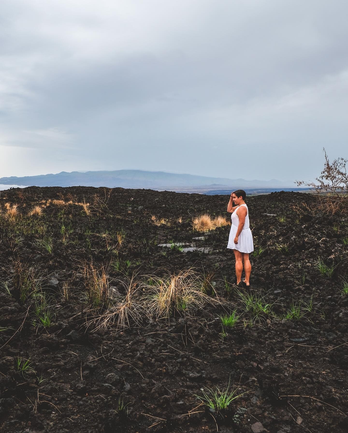 Volcanoes National Park road trip! Since there was a recent eruption and an active hurricane going on while we were on the island, most of the park was closed. However we still had a great time exploring the bits of the desolate rocky landscapes that