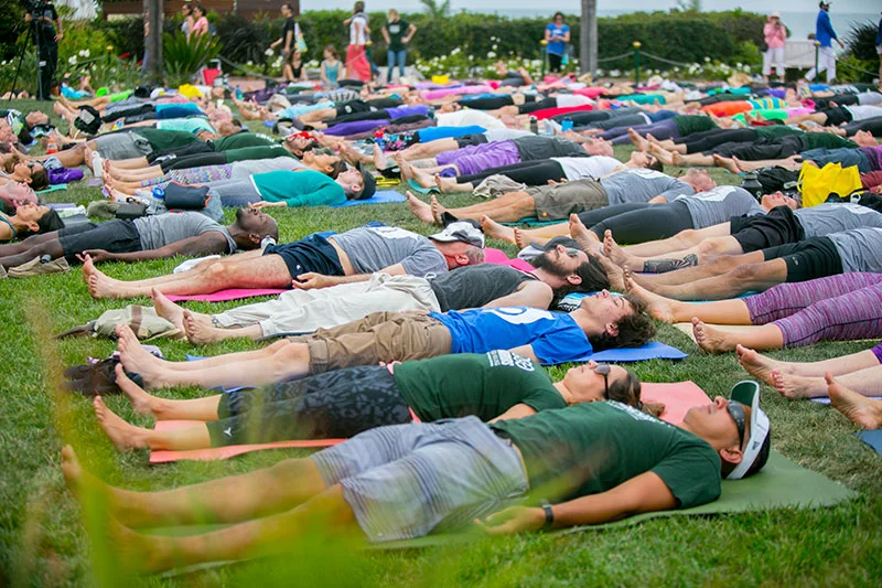 A Sailor's Wife in Yoga Pants series 