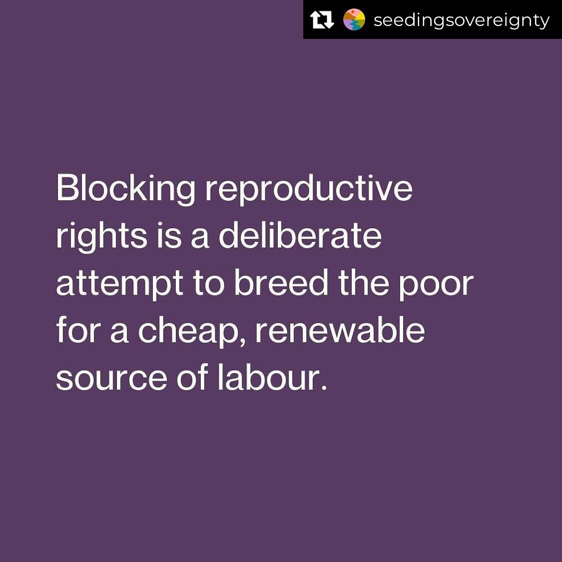Repost from @seedingsovereignty
&bull;
Dropping this here. Thoughts? 

Repost @vandanashivamovie Let's be clear, abortions will still happen and the rich will still have access. It will be the poor that suffer and die from illegal abortions.

This ru
