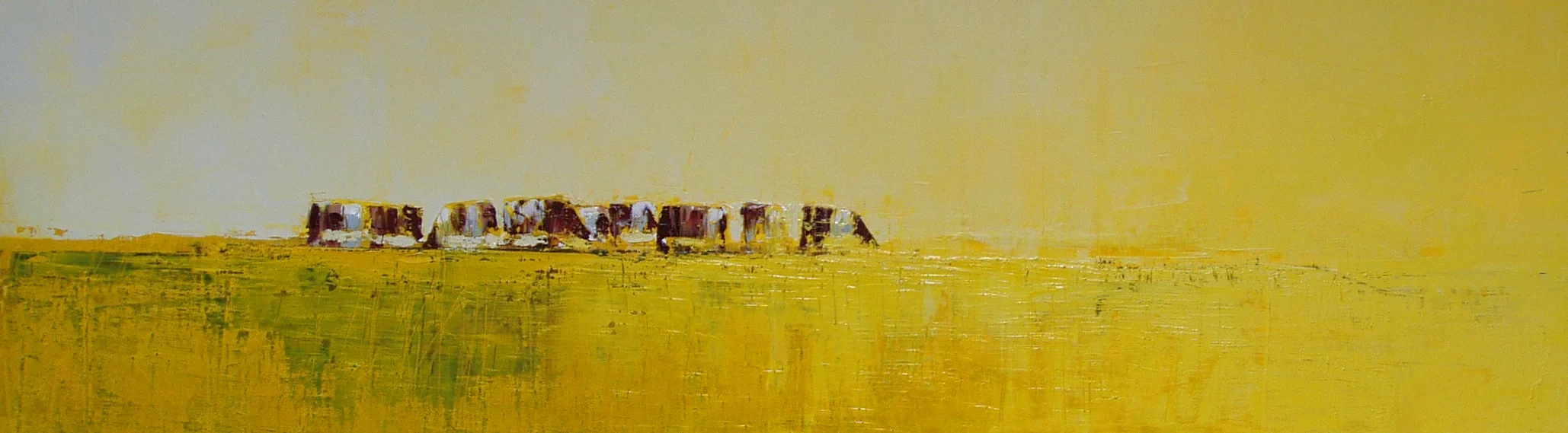 P57_vaches dans le jauneII.jpg