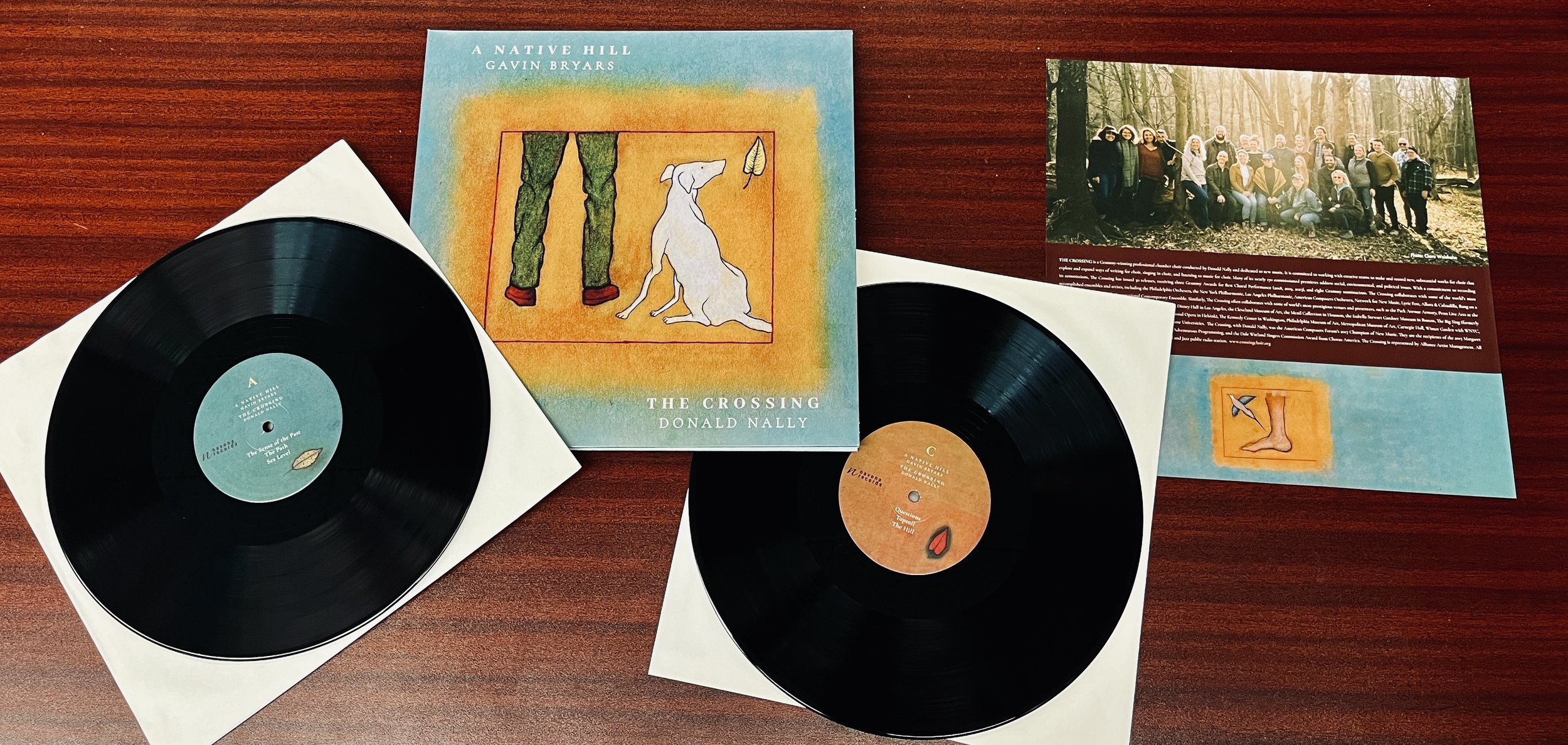 A Native Hill – our first Vinyl! 