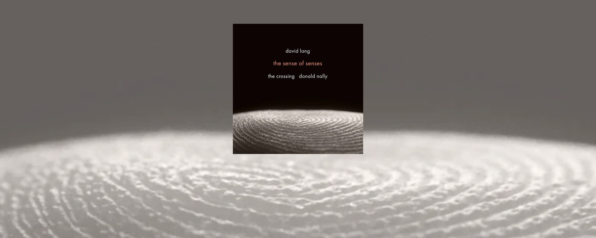 the sense of senses: music of David Lang