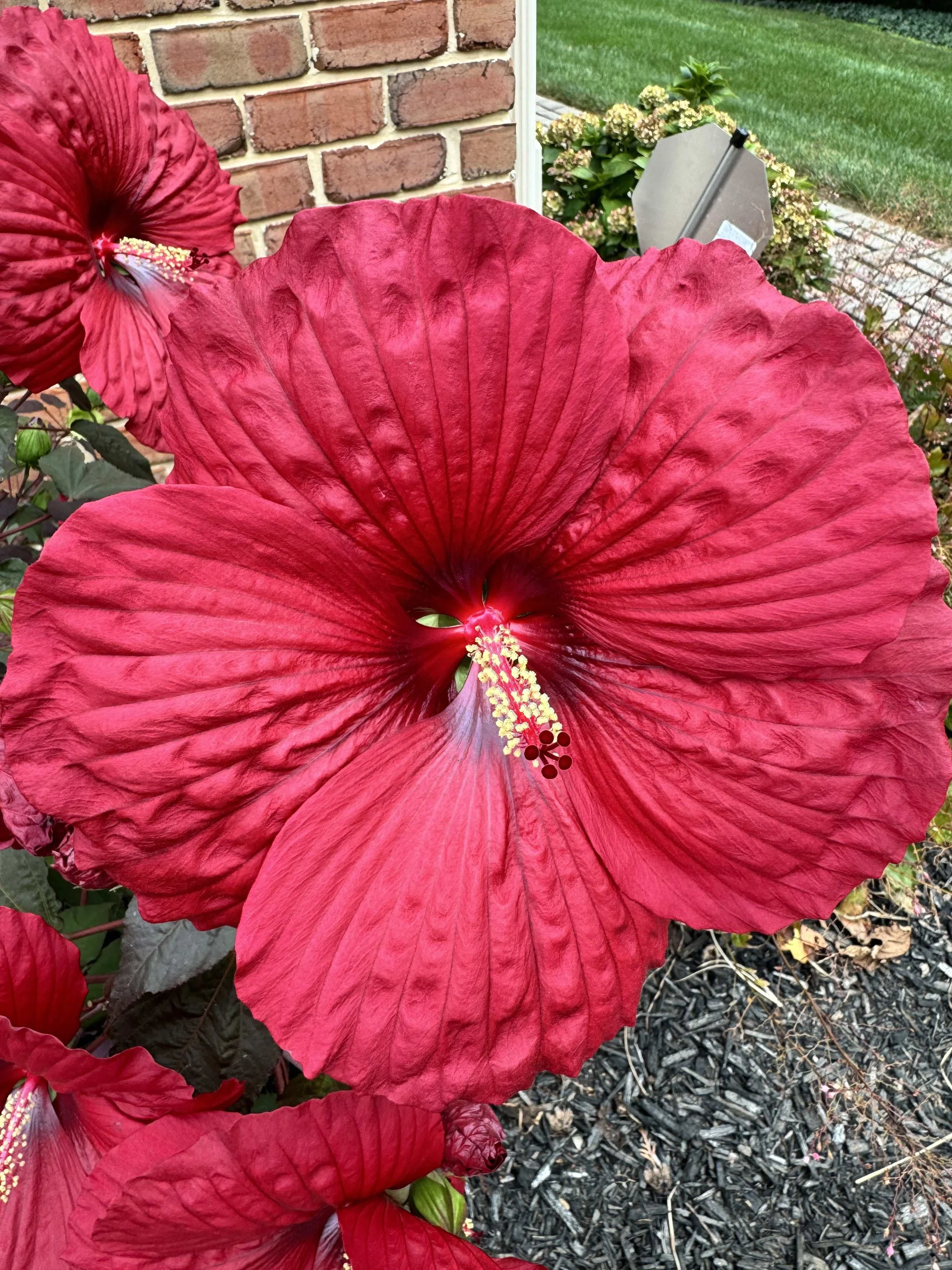 Sacred Circles: Bloom &amp; Become: Spring Equinox Ceremony