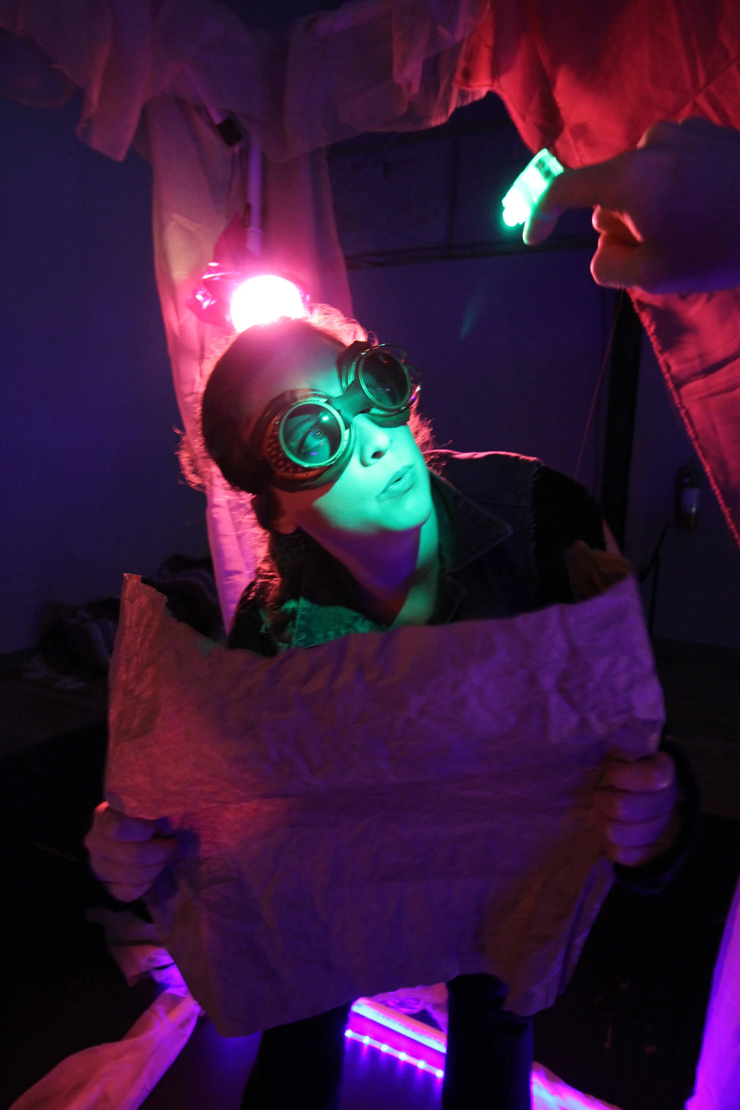 Fireflies, 2015