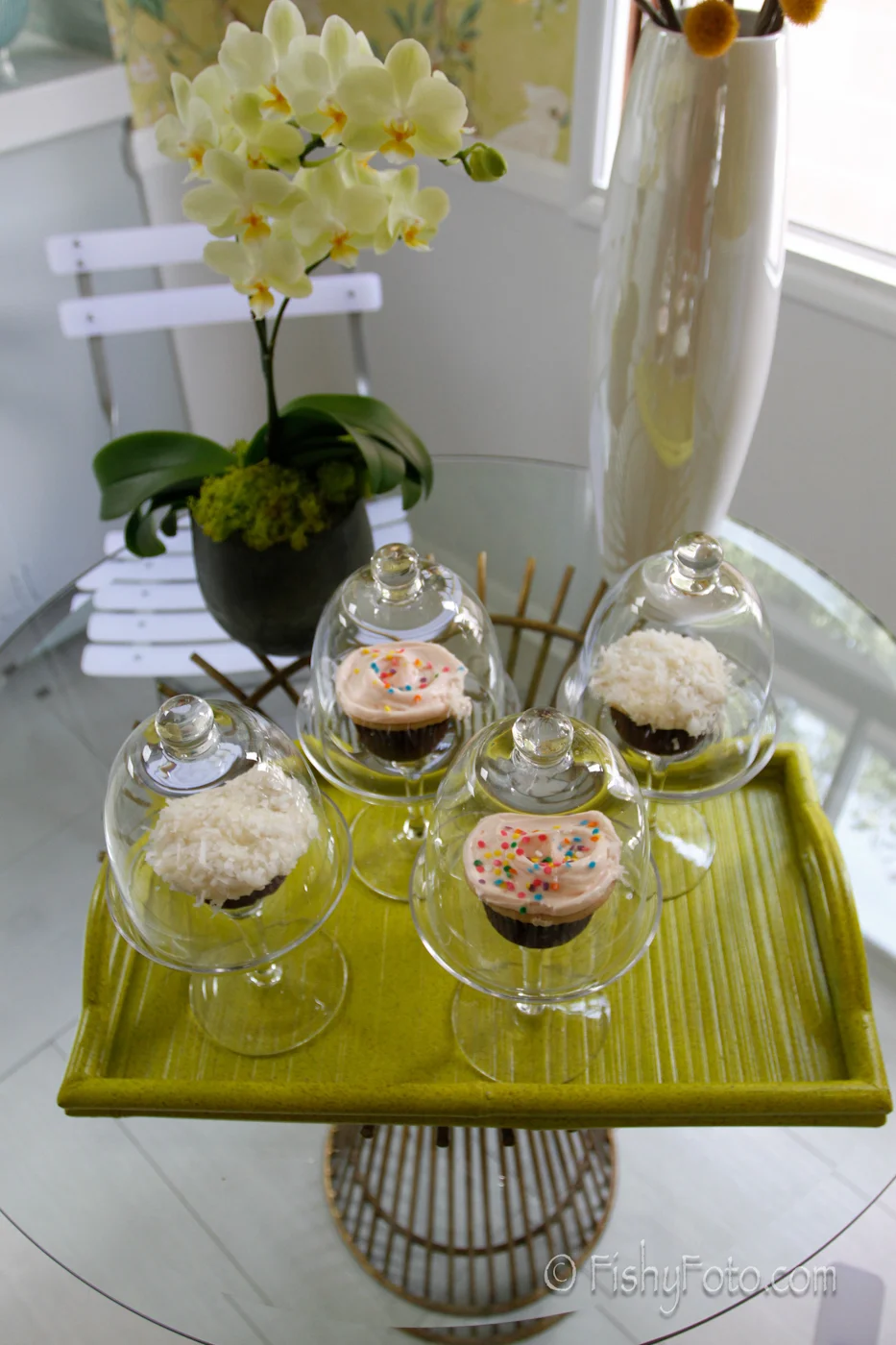 Fishy_Foto_Food (1 of 1).jpg