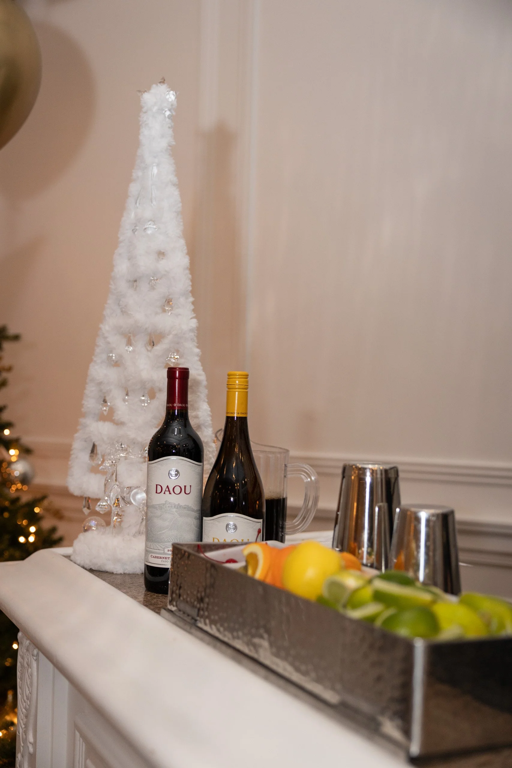 FishyFoto-SageView Holiday Party 2024-1310.jpg