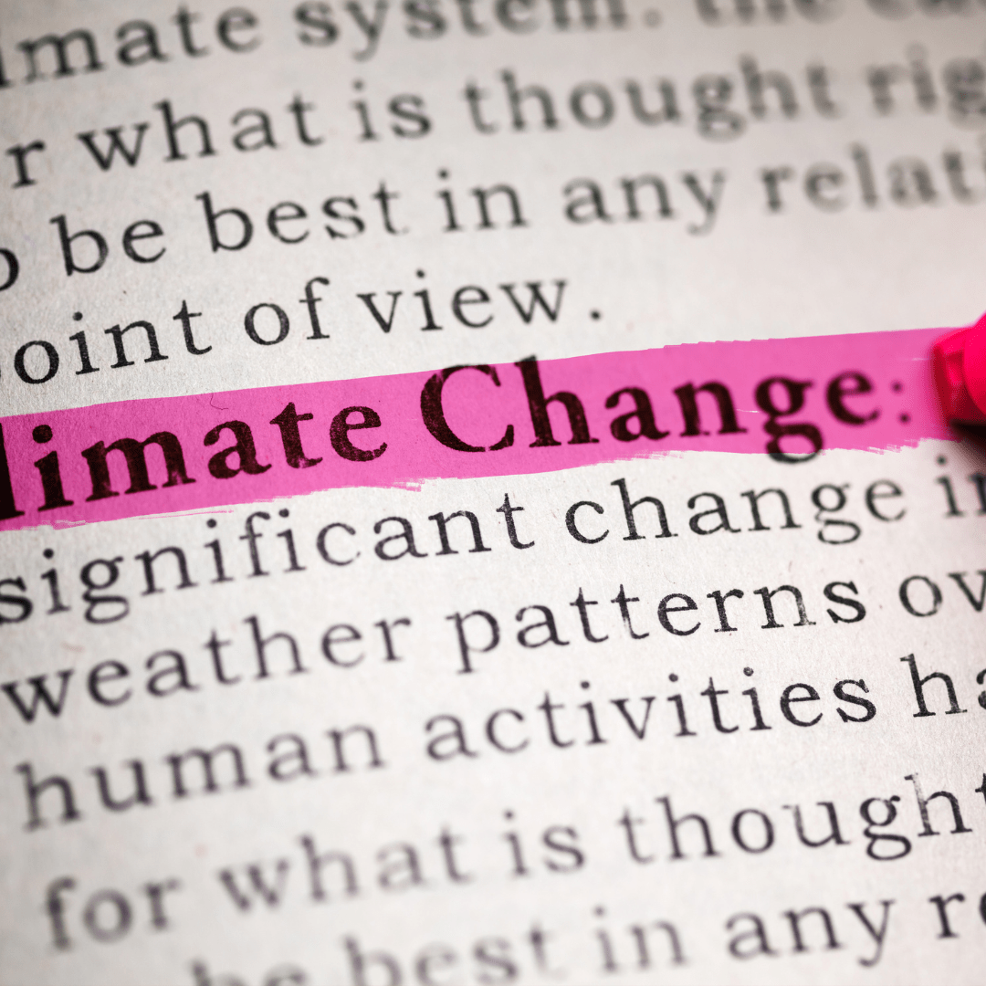 Climate Action Communications