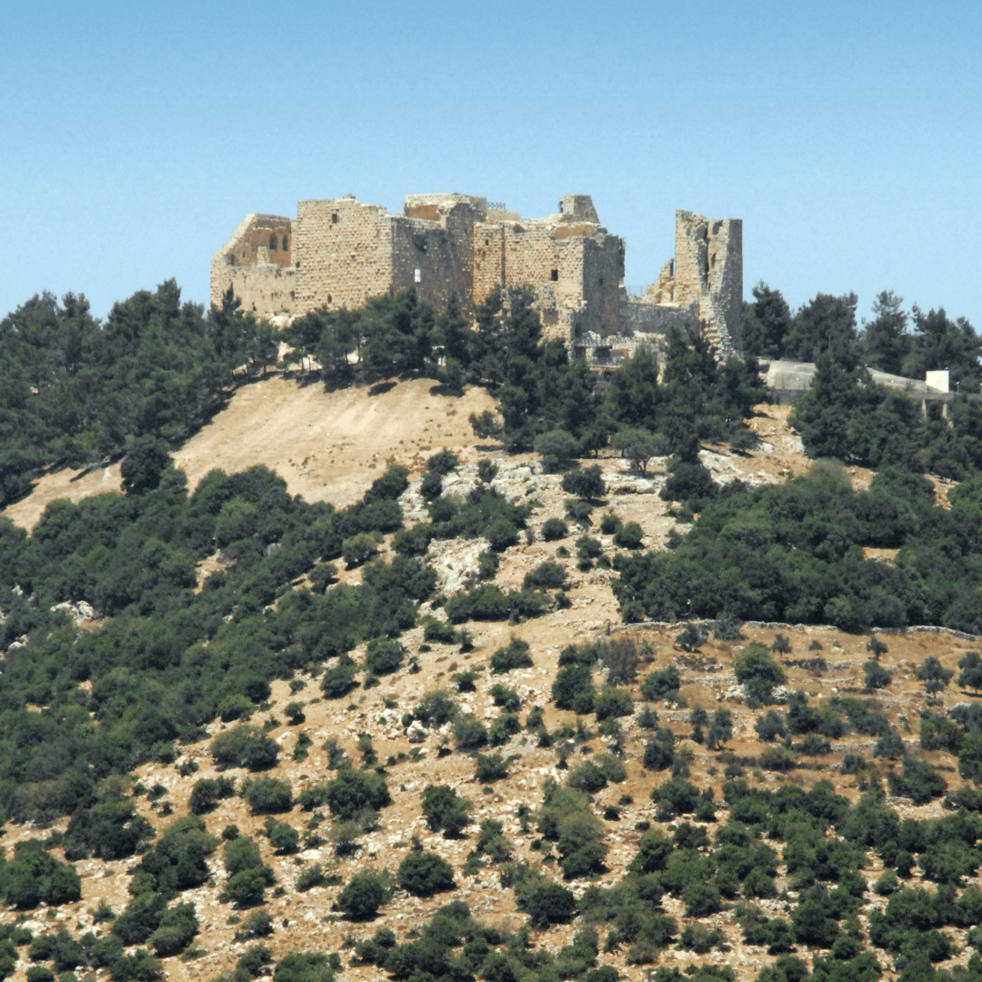 Baseline Assessment & Site Analysis