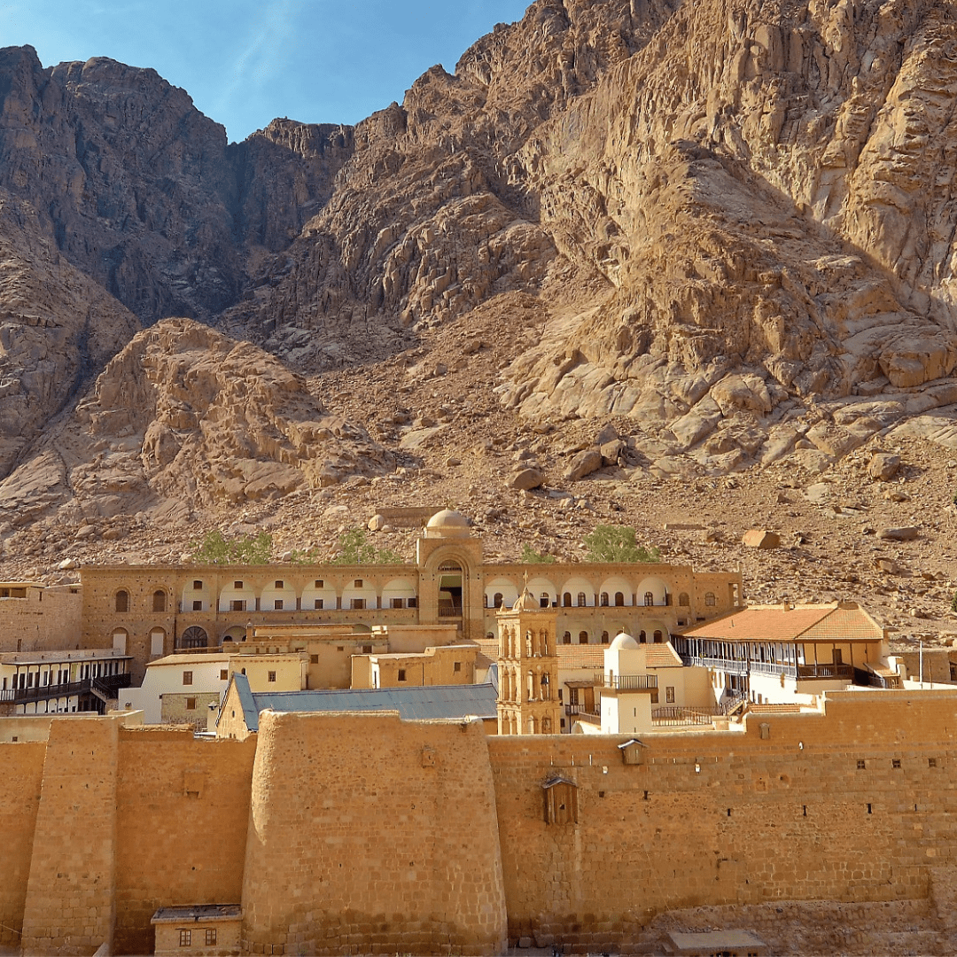 Community Engagement & Stakeholder Management