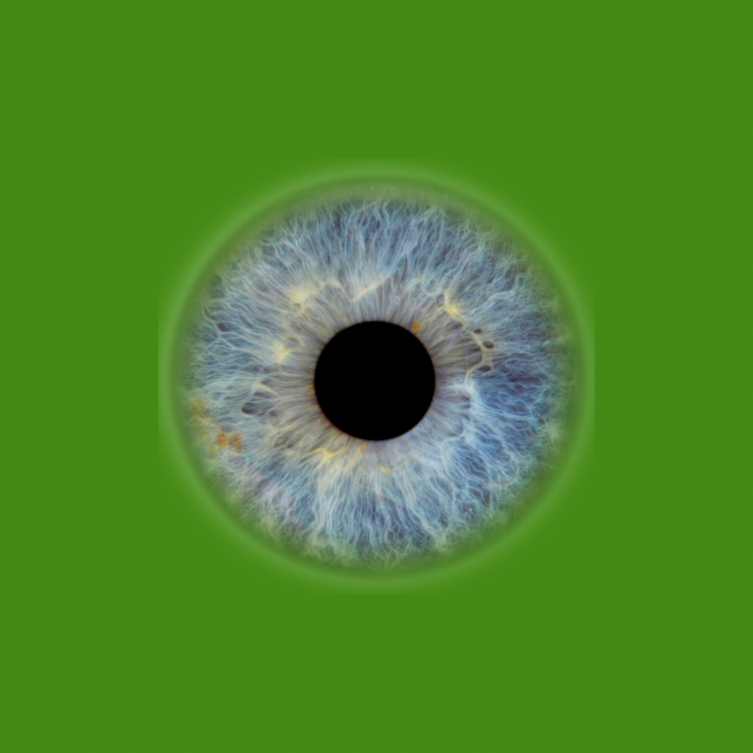 See Clearly: Understanding Organizational Data & Problems