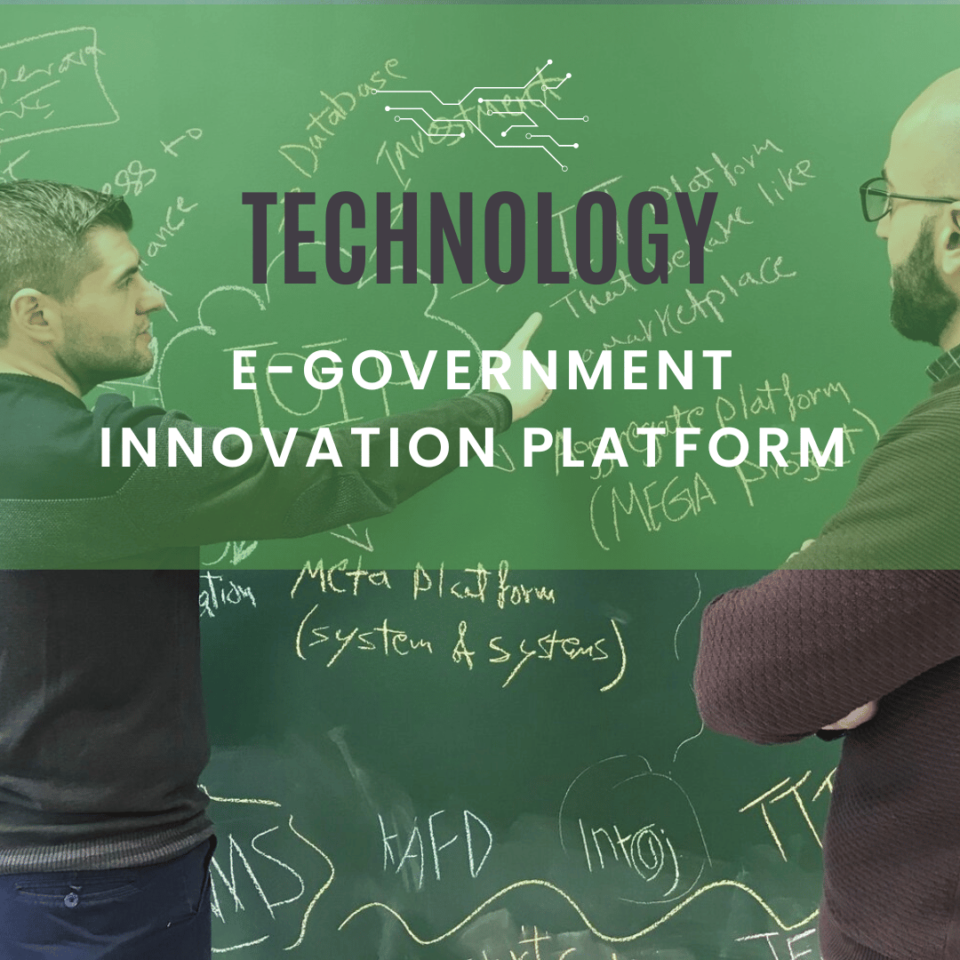 e-government innovation.png