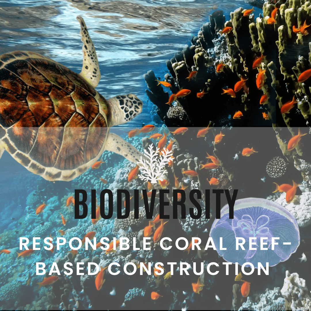 Reef construction-min.png