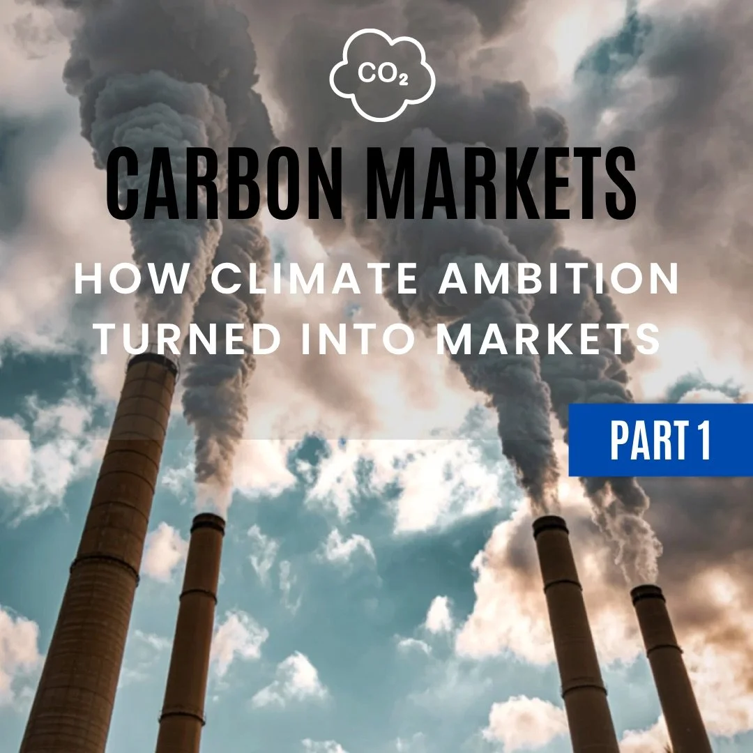 The Political Economy of Carbon Markets.jpg