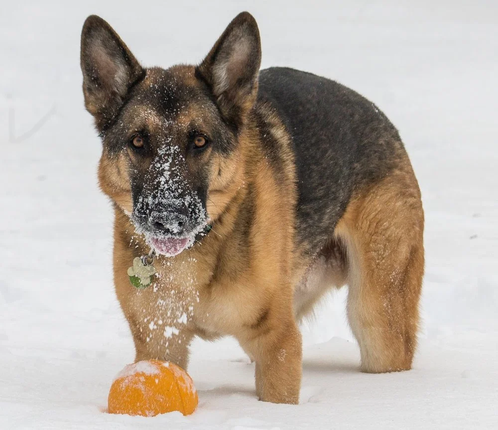 Pic+Keafe+ball+snow.jpg