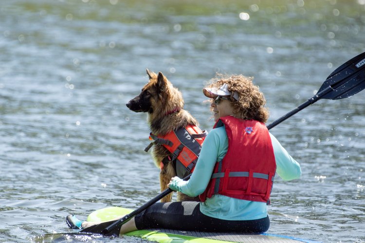 How to Kayak With Dog: Tips for a Safe Adventure