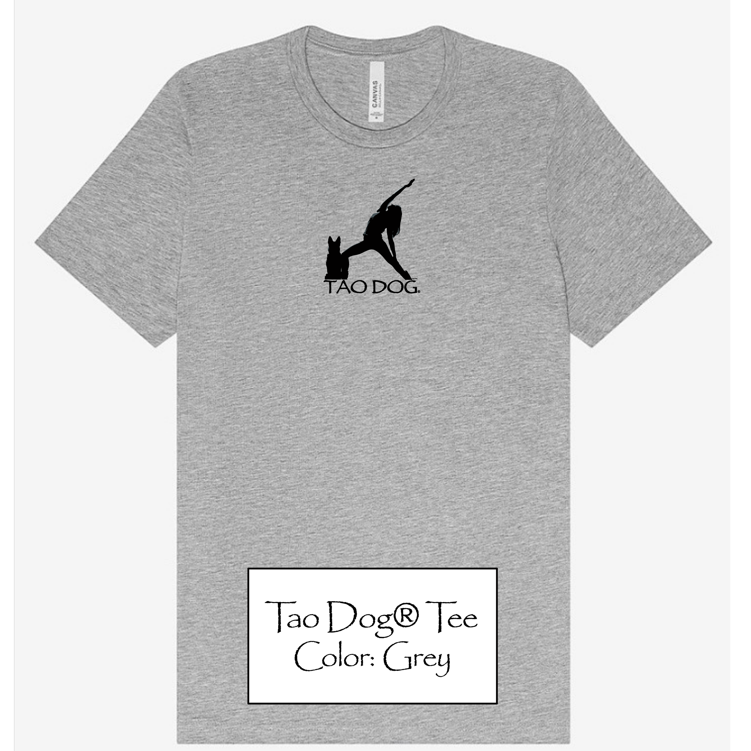 TAO DOG® T Color Grey.png