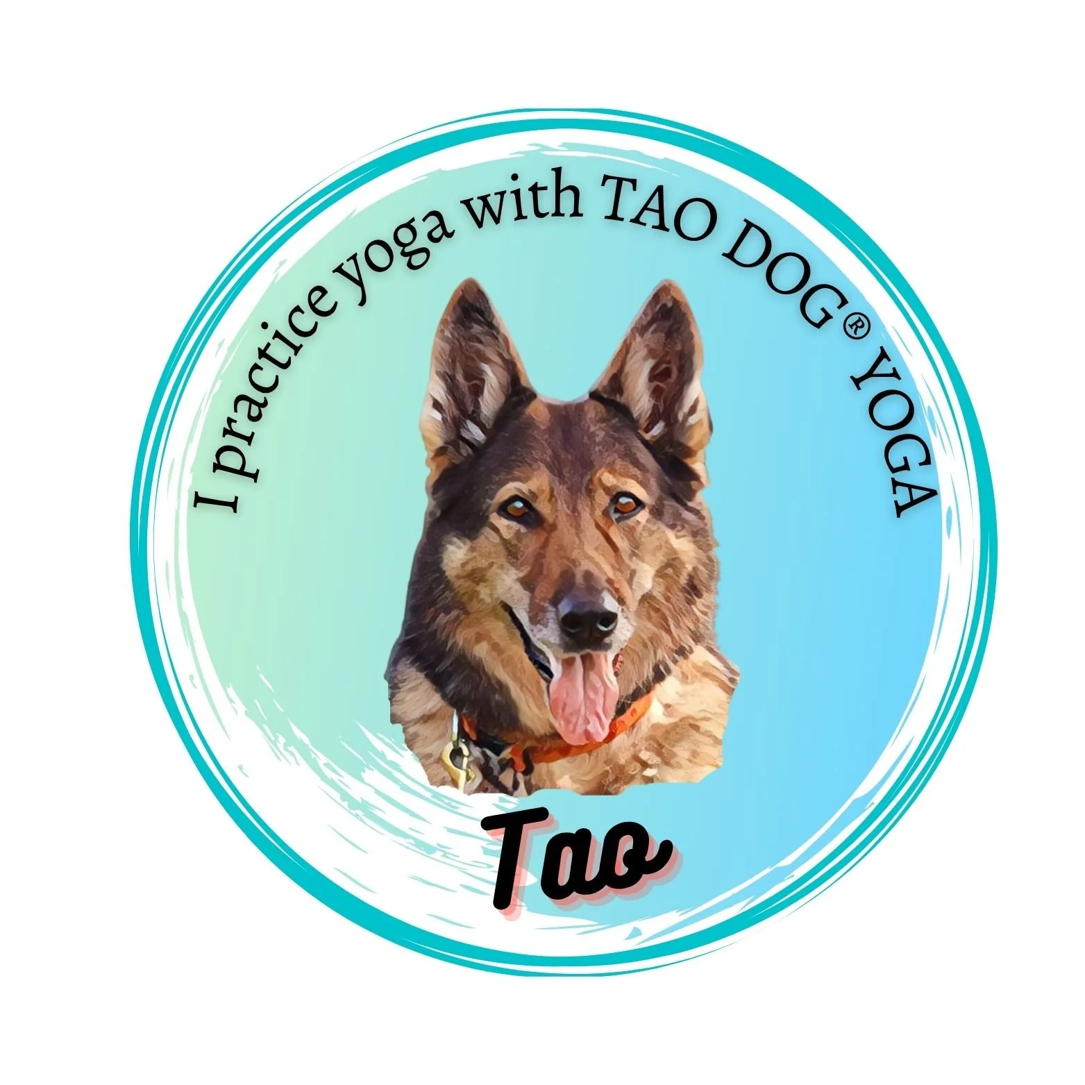TAOPracticeJPG.jpeg