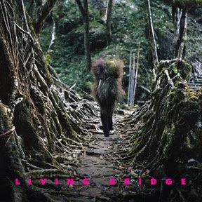 RBR_LIVING-BRIDGE_ITUNES 4x4 72dpi.jpg