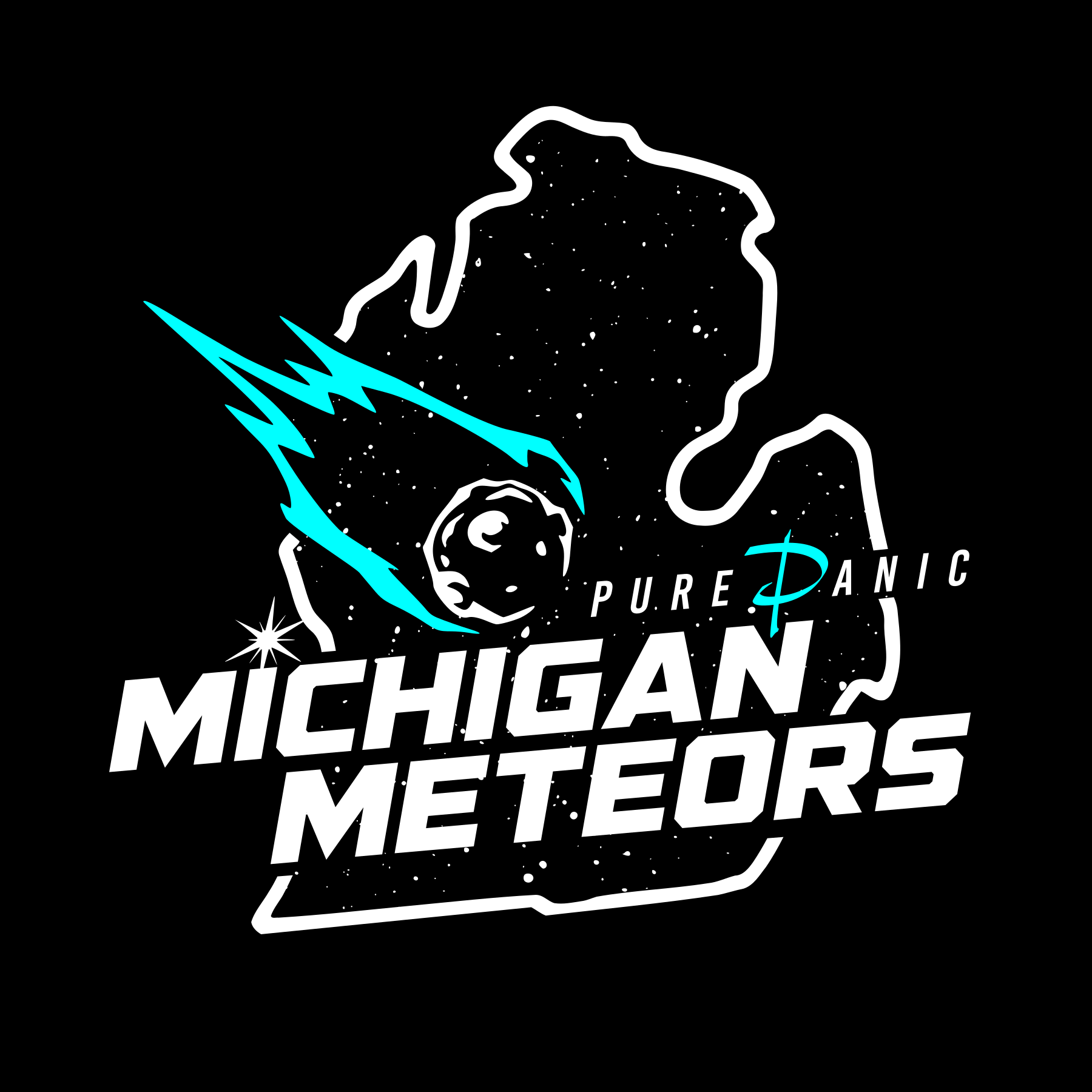 MICHIGAN METEORS.png