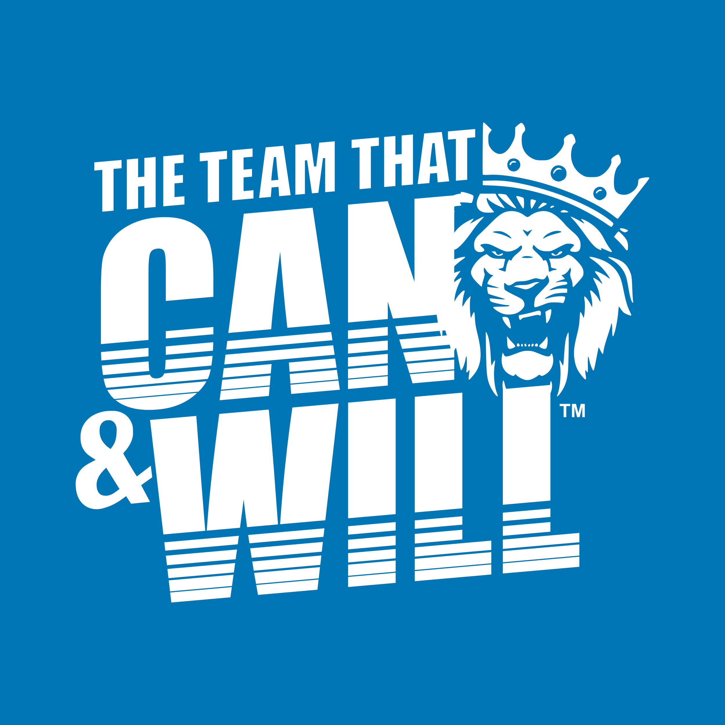 CAN&WILL CARD.png