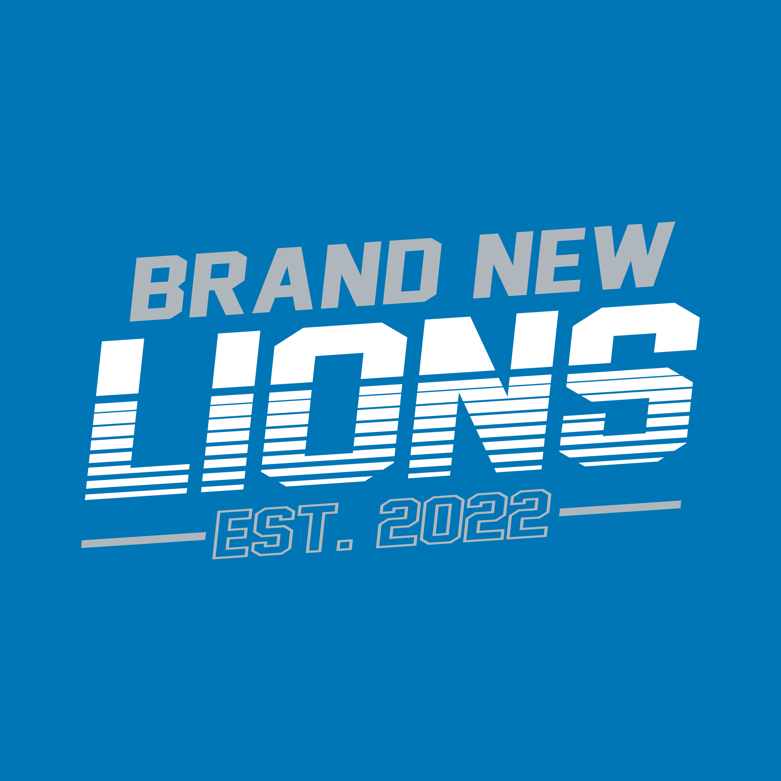 BRAND NEW LIONS.png