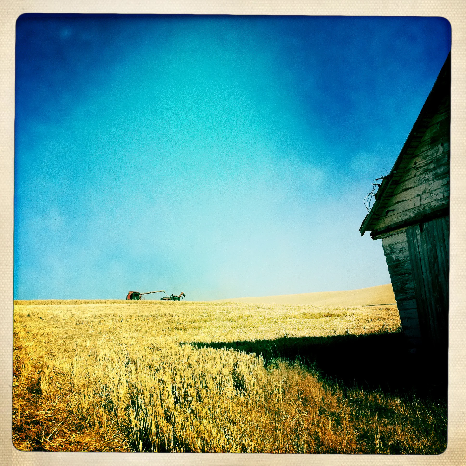 20110826_palouse_iphone_0215-3.jpg