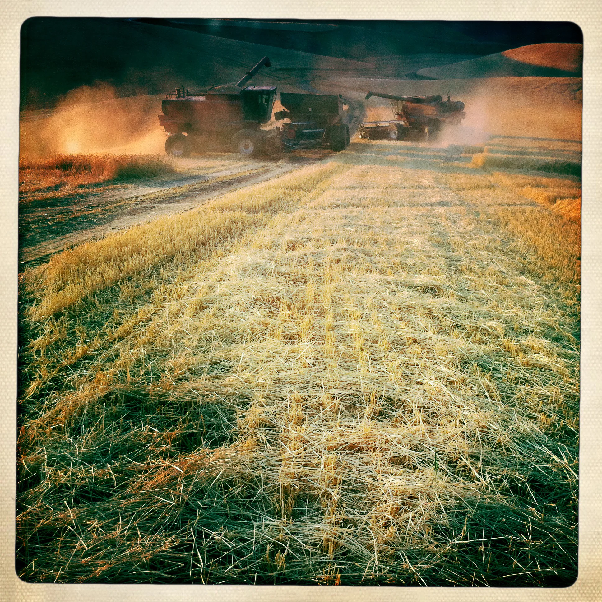 20110827_palouse_iphone_0341-12.jpg
